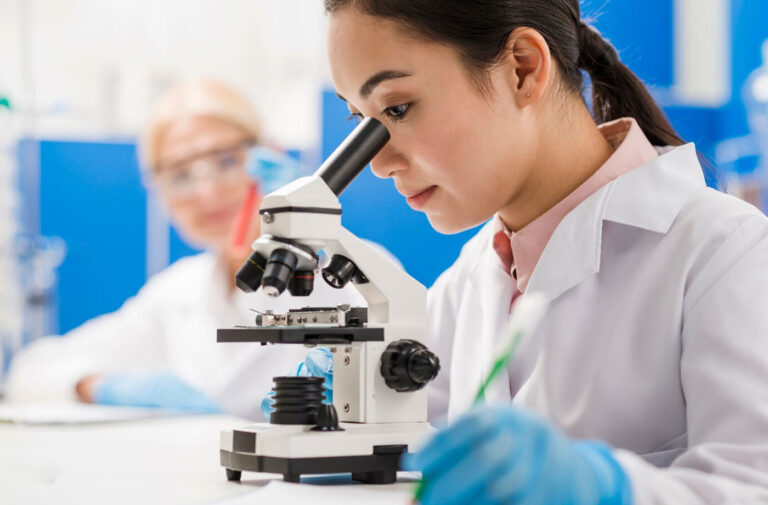 Um guia passo a passo para criar um blog no WordPress