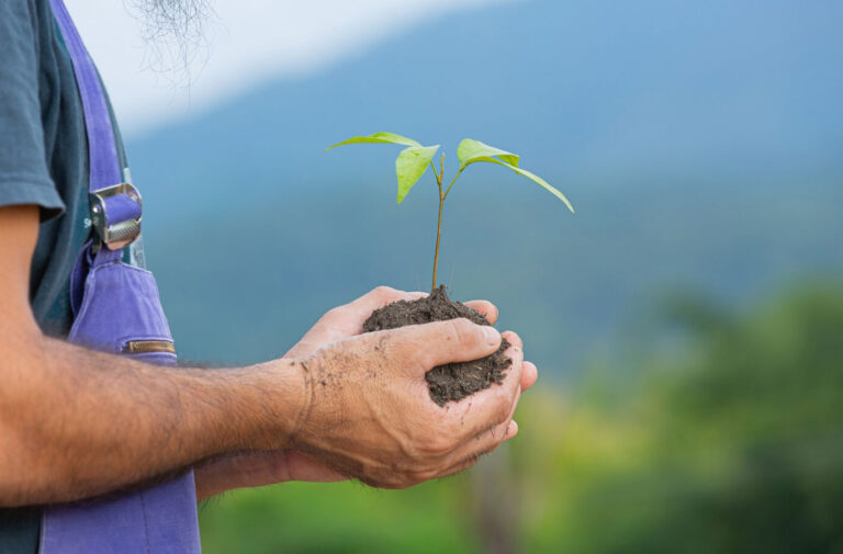 7 Passos para Criar uma Estratégia de Marketing Completa este Ano