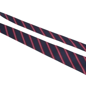Gravatas Listradas Clássicas Masculinas, Poliéster Resistent