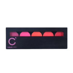 Lip Gloss  Velvet 5-Color Lipstick Palette Long-Lasting Makeup  Matte Lipstick Lip Balm