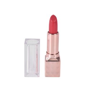 Polished Matte Lipstick European and American Matte Velvet Ins Style Lipstick