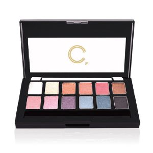 Eye Shadow Plate Eye Color Makeup Plate Fine Flash Matte Earth Color OEM 12 Color Pearlescent Eye Shadow