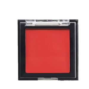 Fine Glitter Single Color Pearlescent Eye Shadow Single Color Matte Eye Shadow